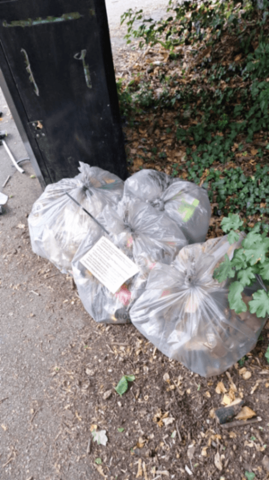 Sunday Pickers event 138 litter pick – photo 1